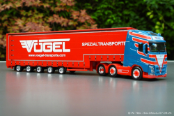 20240907-Voegel-00102