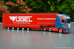 20240907-Voegel-00103