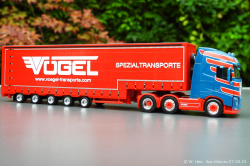 20240907-Voegel-00107