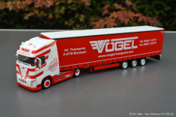 20240907-Voegel-00132