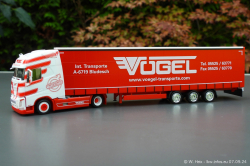 20240907-Voegel-00137