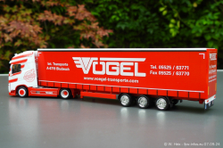 20240907-Voegel-00149