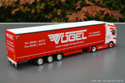 20240907-Voegel-00161