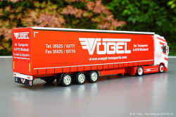 20240907-Voegel-00162