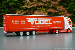 20240907-Voegel-00163