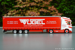 20240907-Voegel-00165