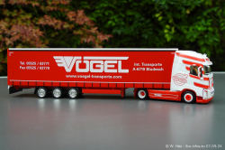 20240907-Voegel-00170