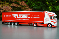 20240907-Voegel-00175