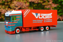 20240907-Voegel-00200