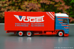 20240907-Voegel-00208
