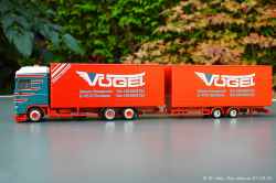 20240907-Voegel-00222