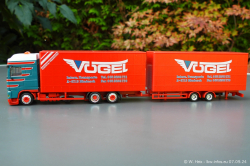 20240907-Voegel-00223