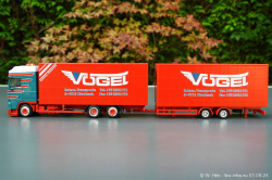 20240907-Voegel-00225