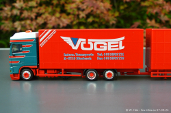 20240907-Voegel-00226