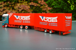 20240907-Voegel-00229