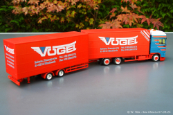 20240907-Voegel-00235