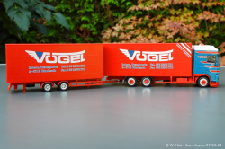 20240907-Voegel-00238