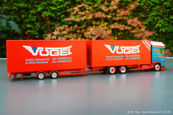 20240907-Voegel-00242