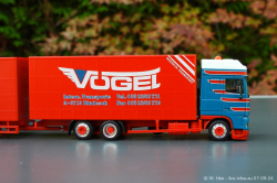 20240907-Voegel-00245