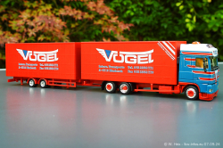 20240907-Voegel-00253