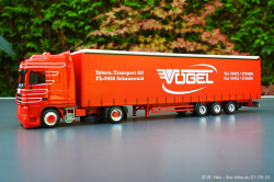 20240907-Voegel-00265