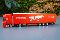 20240907-Voegel-00266