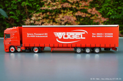 20240907-Voegel-00268
