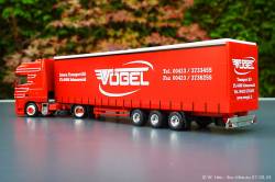 20240907-Voegel-00272