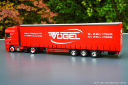 20240907-Voegel-00277
