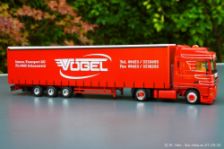 20240907-Voegel-00302