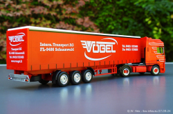 20240907-Voegel-00352