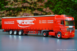 20240907-Voegel-00361