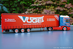 20240907-Voegel-00413