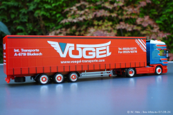 20240907-Voegel-00417
