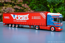 20240907-Voegel-00431