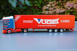 20240907-Voegel-00457