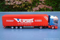20240907-Voegel-00481