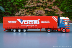 20240907-Voegel-00482