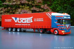 20240907-Voegel-00487