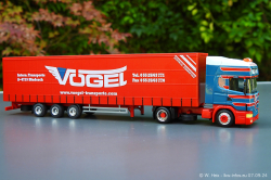 20240907-Voegel-00493