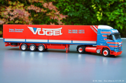 20240907-Voegel-00553