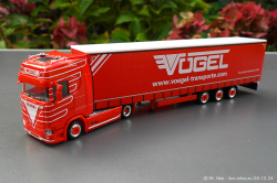 20241006-Voegel-00001