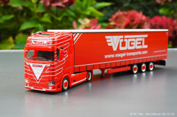 20241006-Voegel-00002