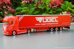 20241006-Voegel-00006