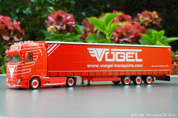 20241006-Voegel-00007