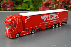20241006-Voegel-00008