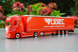 20241006-Voegel-00012