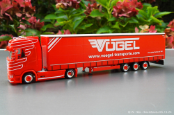 20241006-Voegel-00013