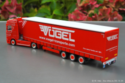 20241006-Voegel-00017
