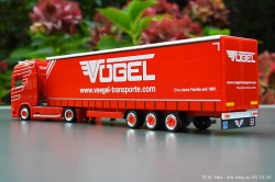 20241006-Voegel-00019